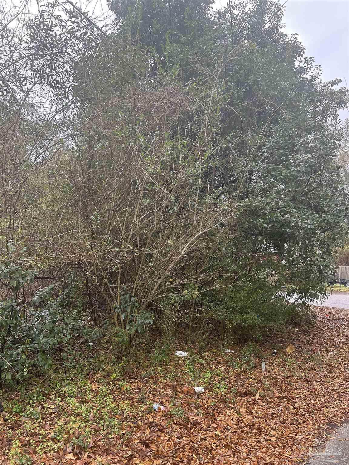 https://bt-photos.global.ssl.fastly.net/pensacola/1280_boomver_1_678336-2.jpg