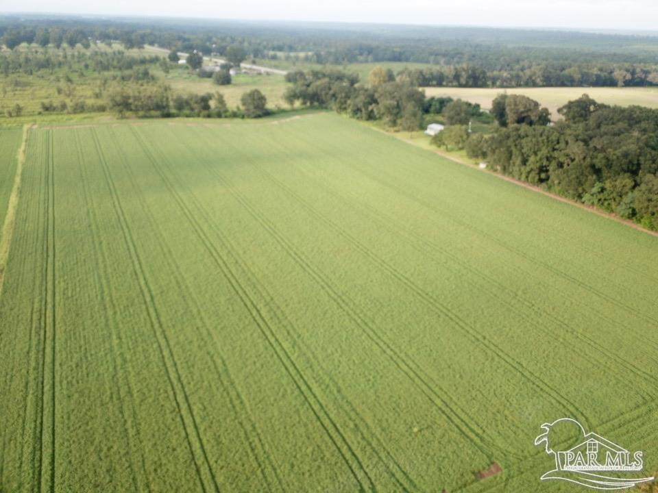4+ acres Hwy 87 - Photo 1