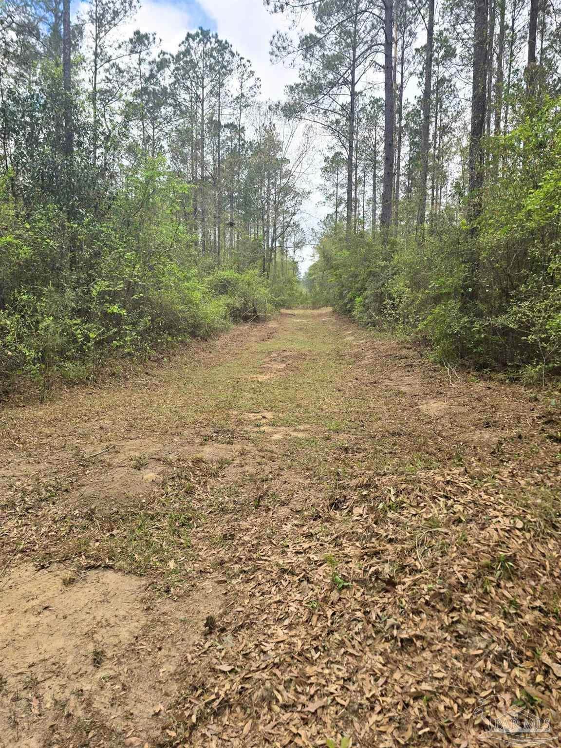https://bt-photos.global.ssl.fastly.net/pensacola/1280_boomver_1_679980-2.jpg