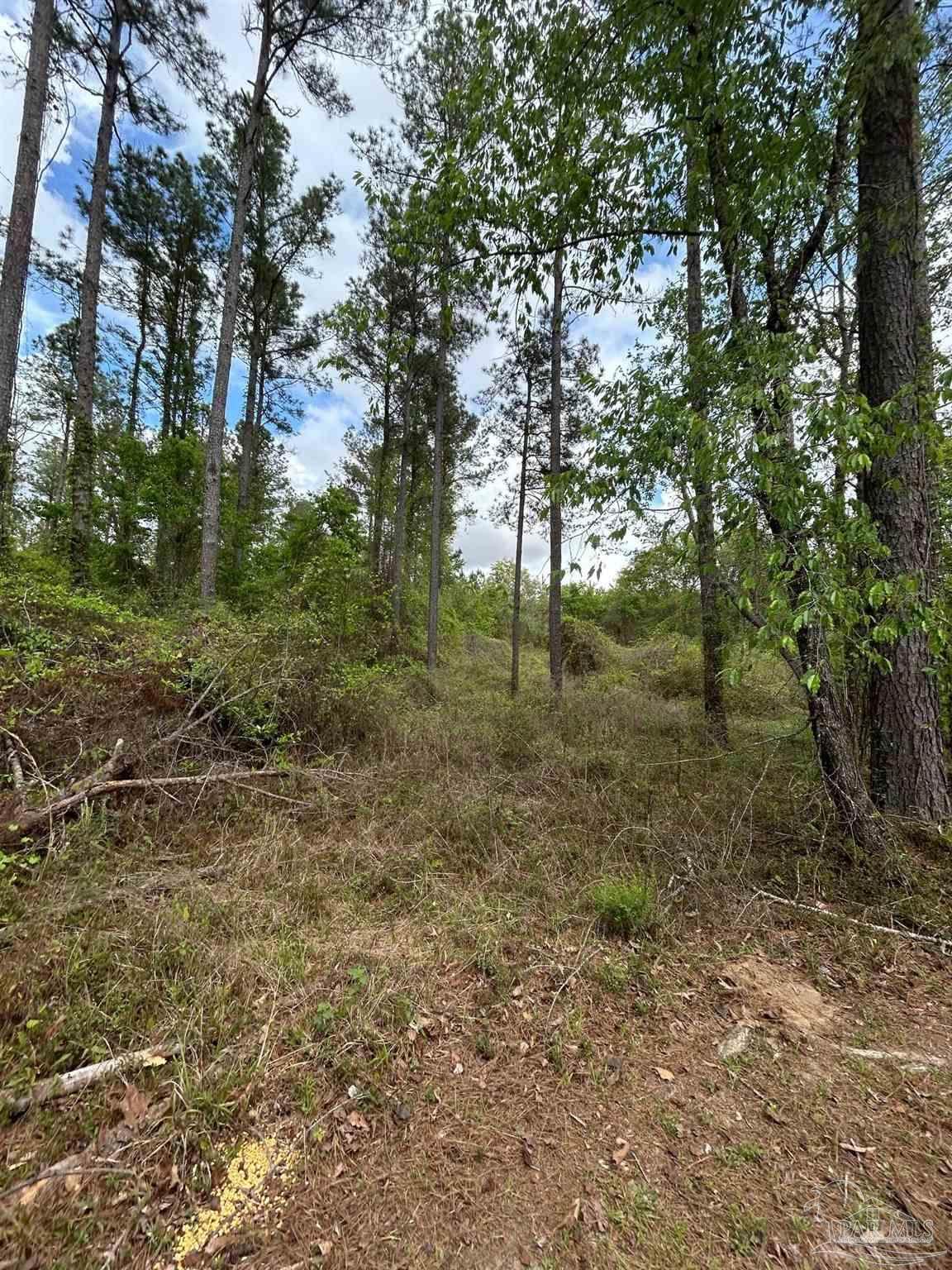 https://bt-photos.global.ssl.fastly.net/pensacola/orig_boomver_1_680317-2.jpg