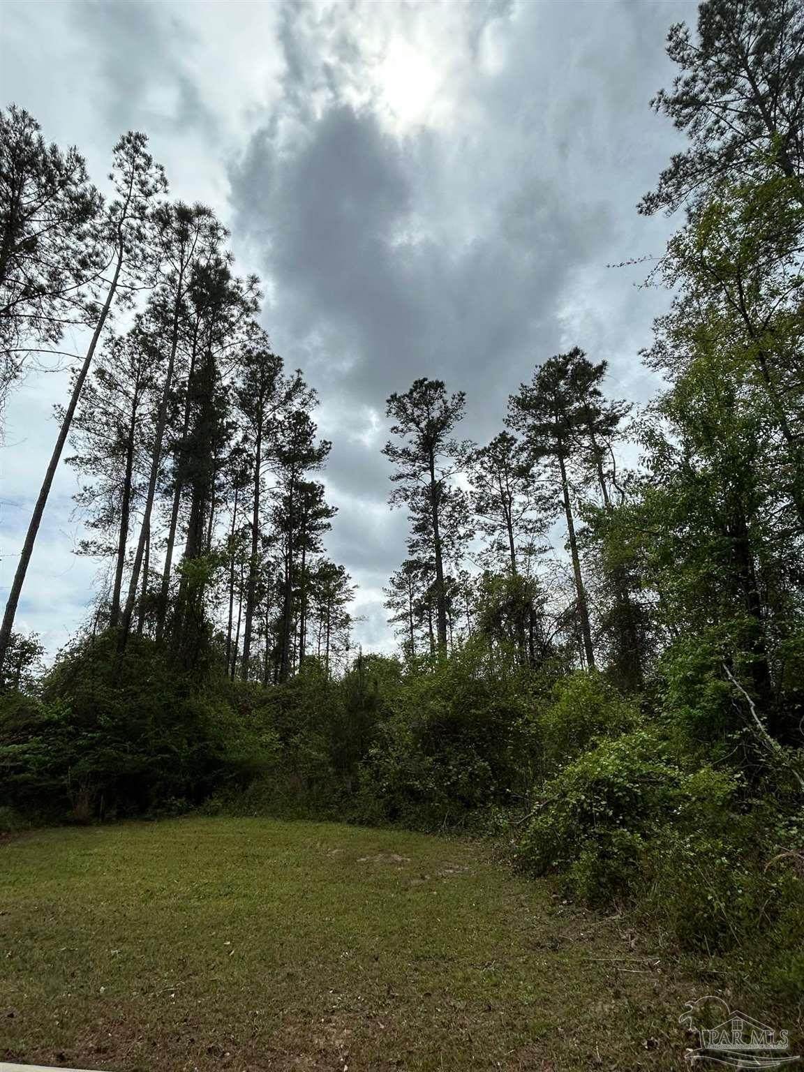 https://bt-photos.global.ssl.fastly.net/pensacola/orig_boomver_1_680317-2.jpg