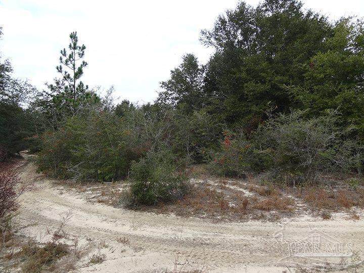 0000 Hwy 87 - Photo 1
