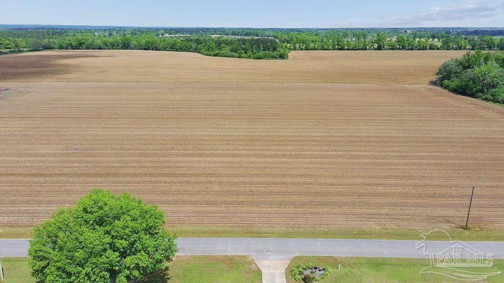 3B Mineral Springs Rd - Photo 1