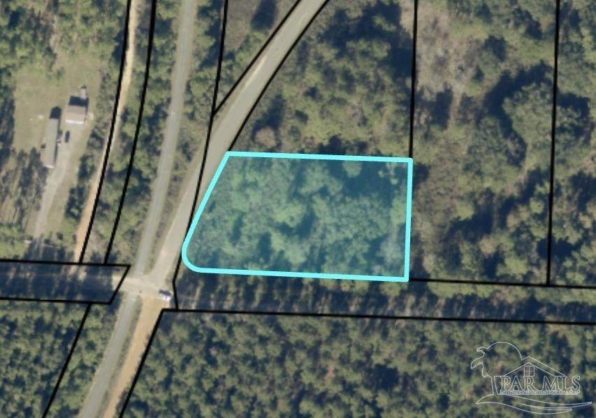 000 Pat Brown Rd - Photo 1