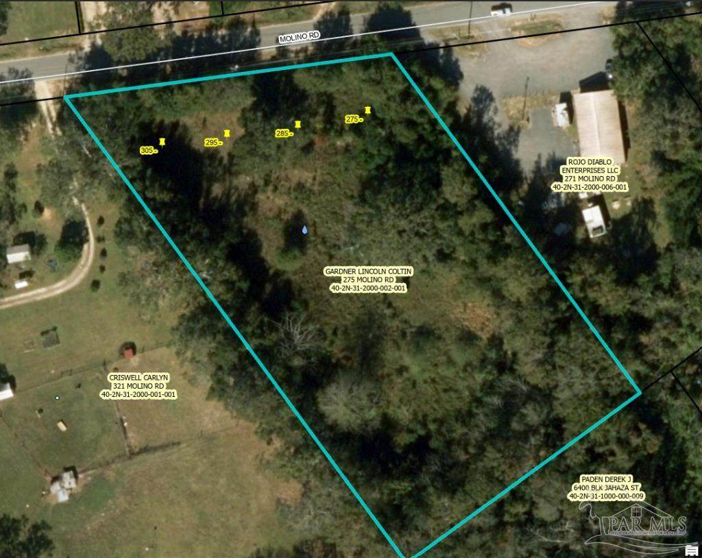 275 Molino Rd - Photo 1