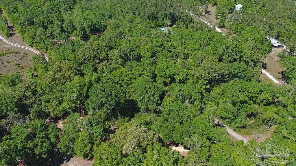 1.72 Acres Sid Hayes Rd - Photo 1