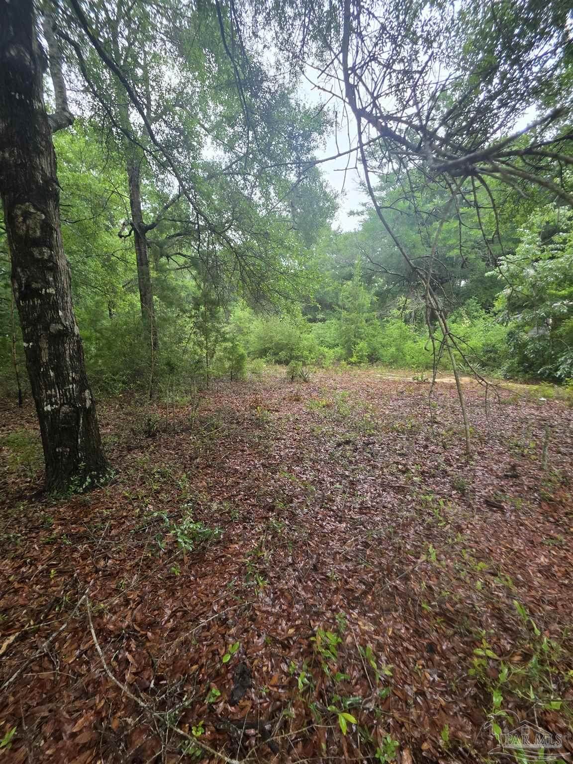 https://bt-photos.global.ssl.fastly.net/pensacola/orig_boomver_1_681344-2.jpg