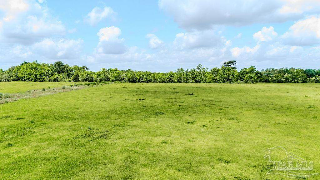 Lot 11 Tidwell Rd - Photo 1