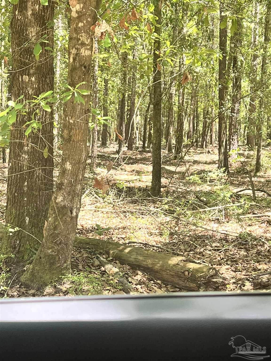 https://bt-photos.global.ssl.fastly.net/pensacola/orig_boomver_1_682348-2.jpg
