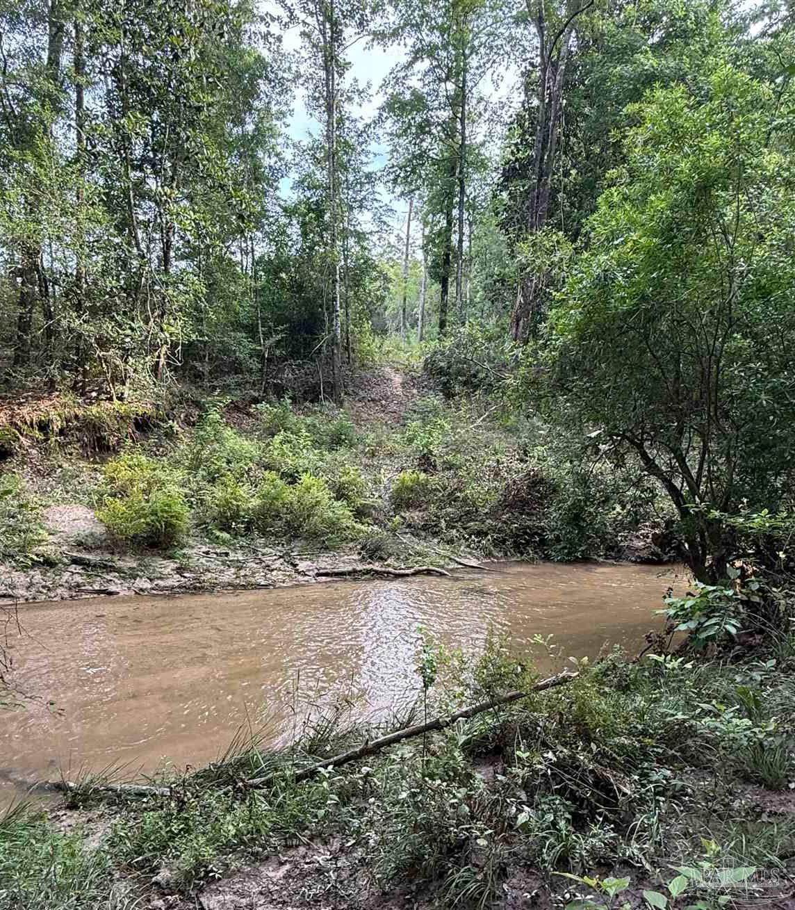 0100 Mineral Springs Rd - Photo 1