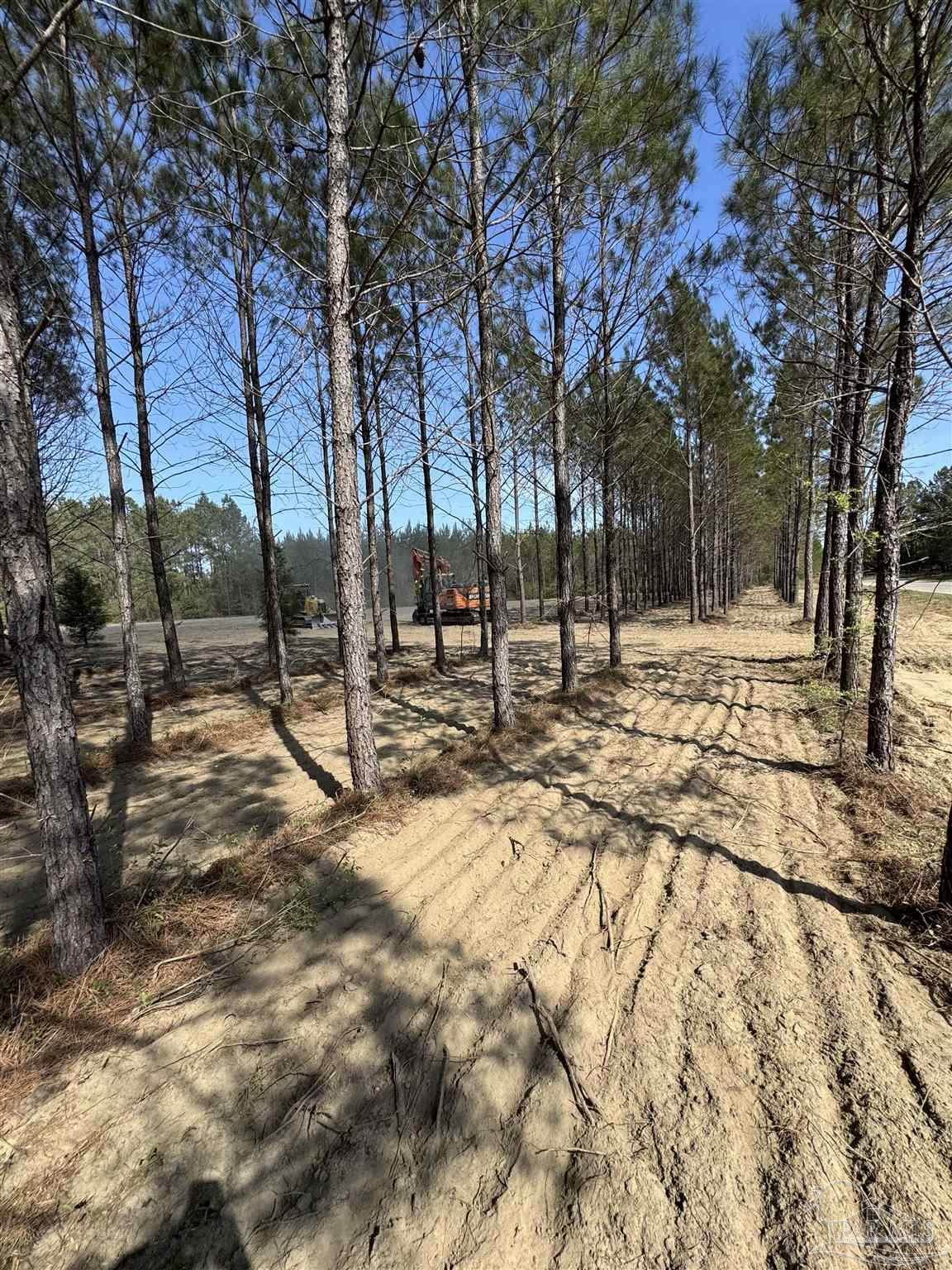 Lot 53 Sage Forest Ln - Photo 1