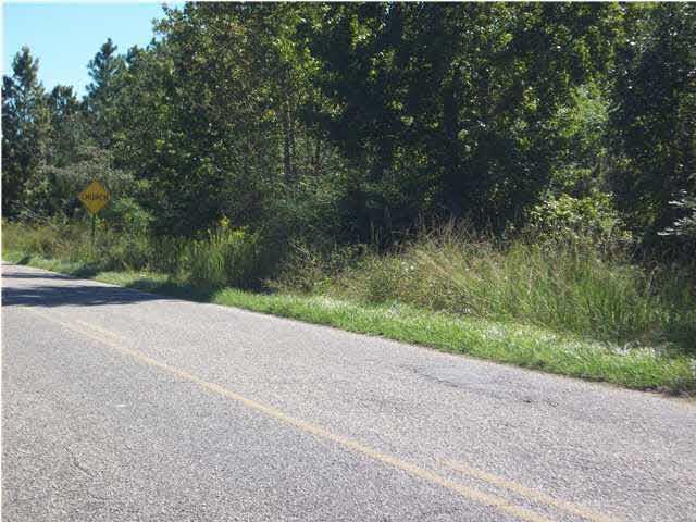 #43 Woods Rd - Photo 1