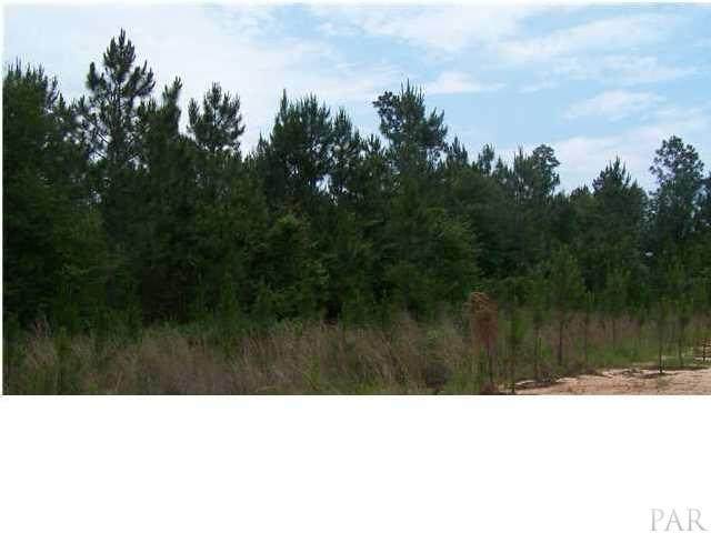 0 Avalon Blvd - Photo 1