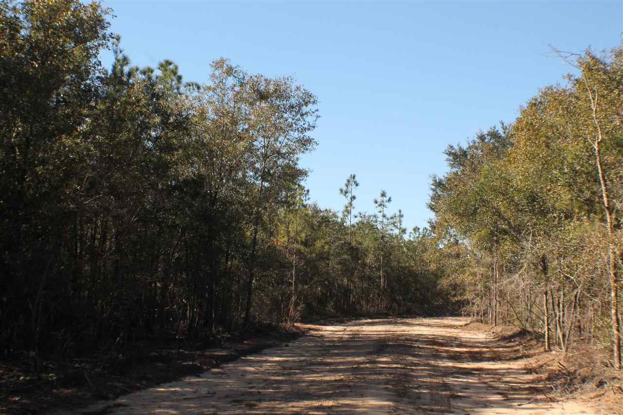 Lot 8 Forest Hills Dr - Photo 1
