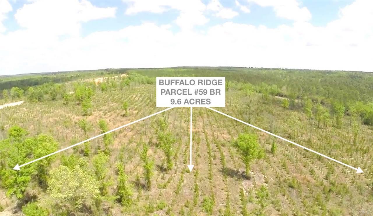 Lot 59 BR Buffalo Ridge Rd - Photo 1