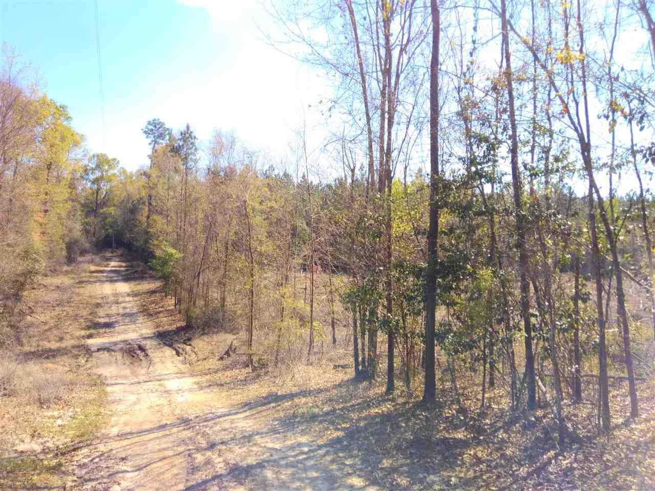 3161 Wallace Rd - Photo 1