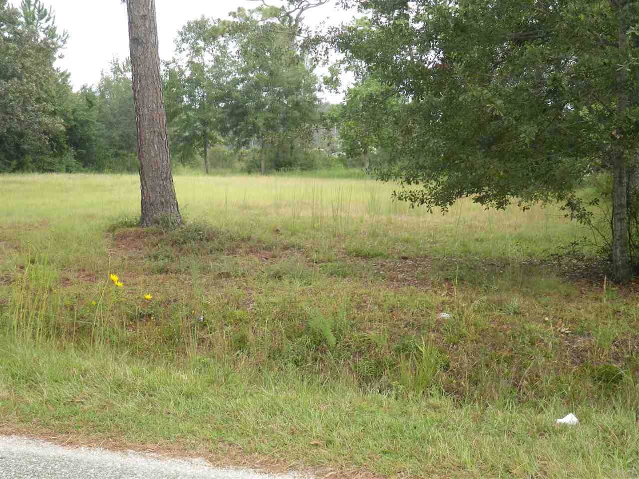 5234 San Miguel St - Photo 1