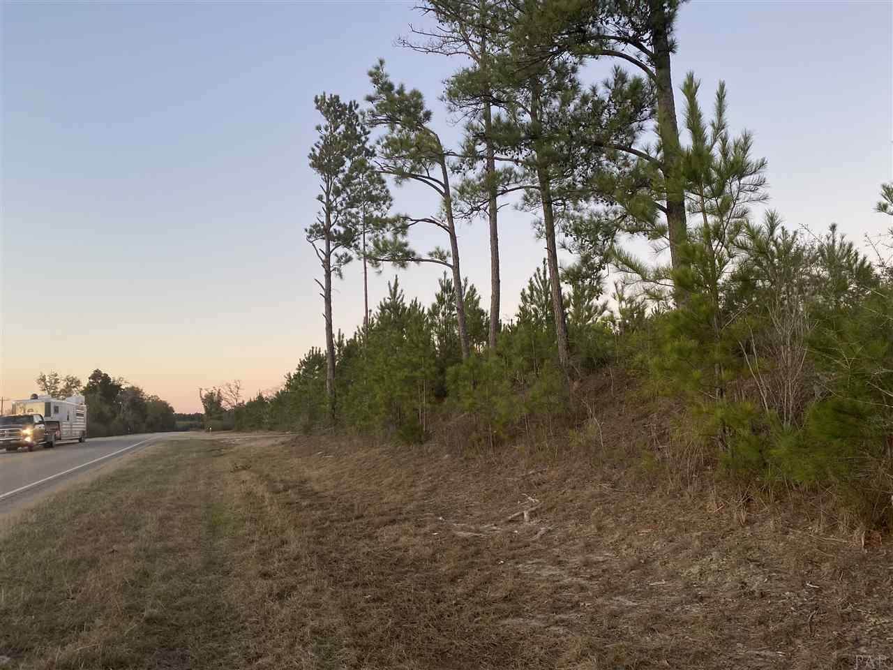 3 AC Highway 137 - Photo 1 3 AC Highway 137 - Photo 1