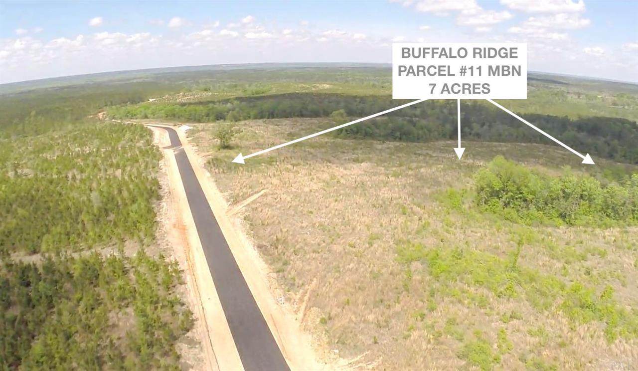 Lot 11 MBN Molino Bridge Rd - Photo 1