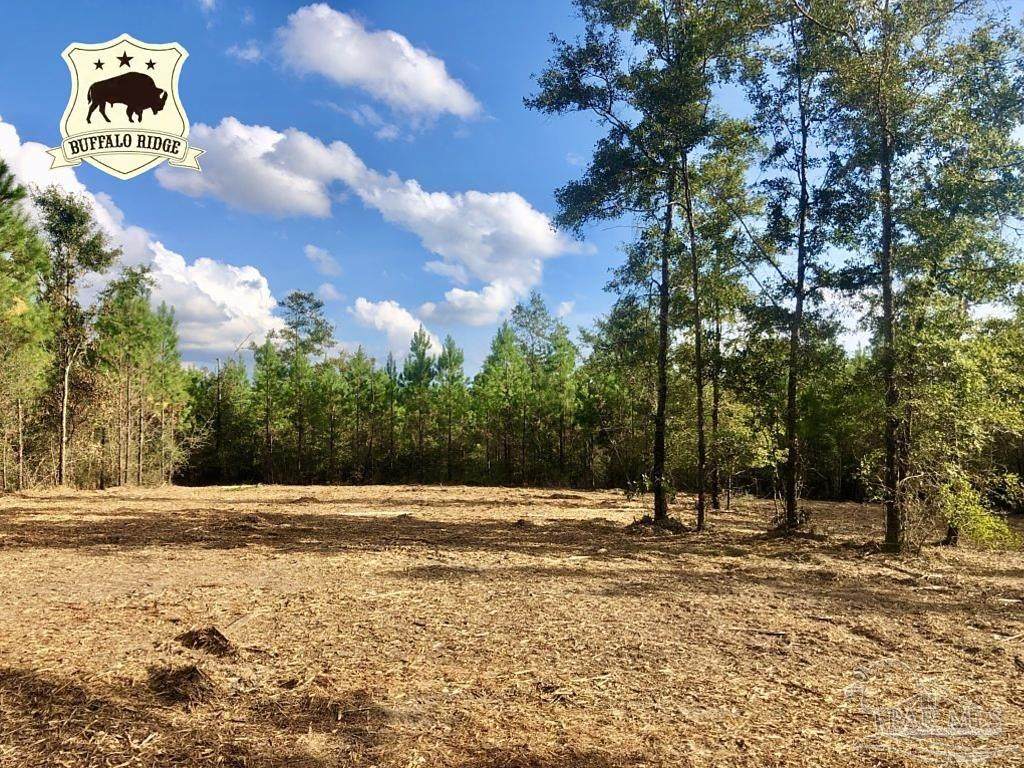 Lot 18 BS Buffalo Ridge Rd - Photo 1