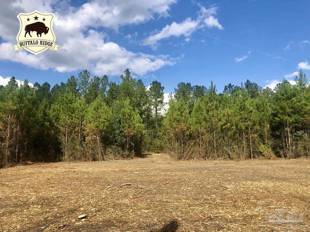 Lot 27 BS Buffalo Ridge Rd - Photo 1