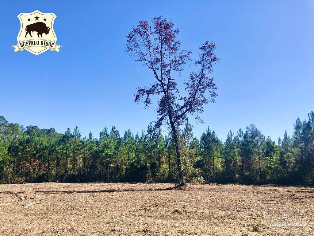 Lot 28 BS Buffalo Ridge Rd - Photo 1