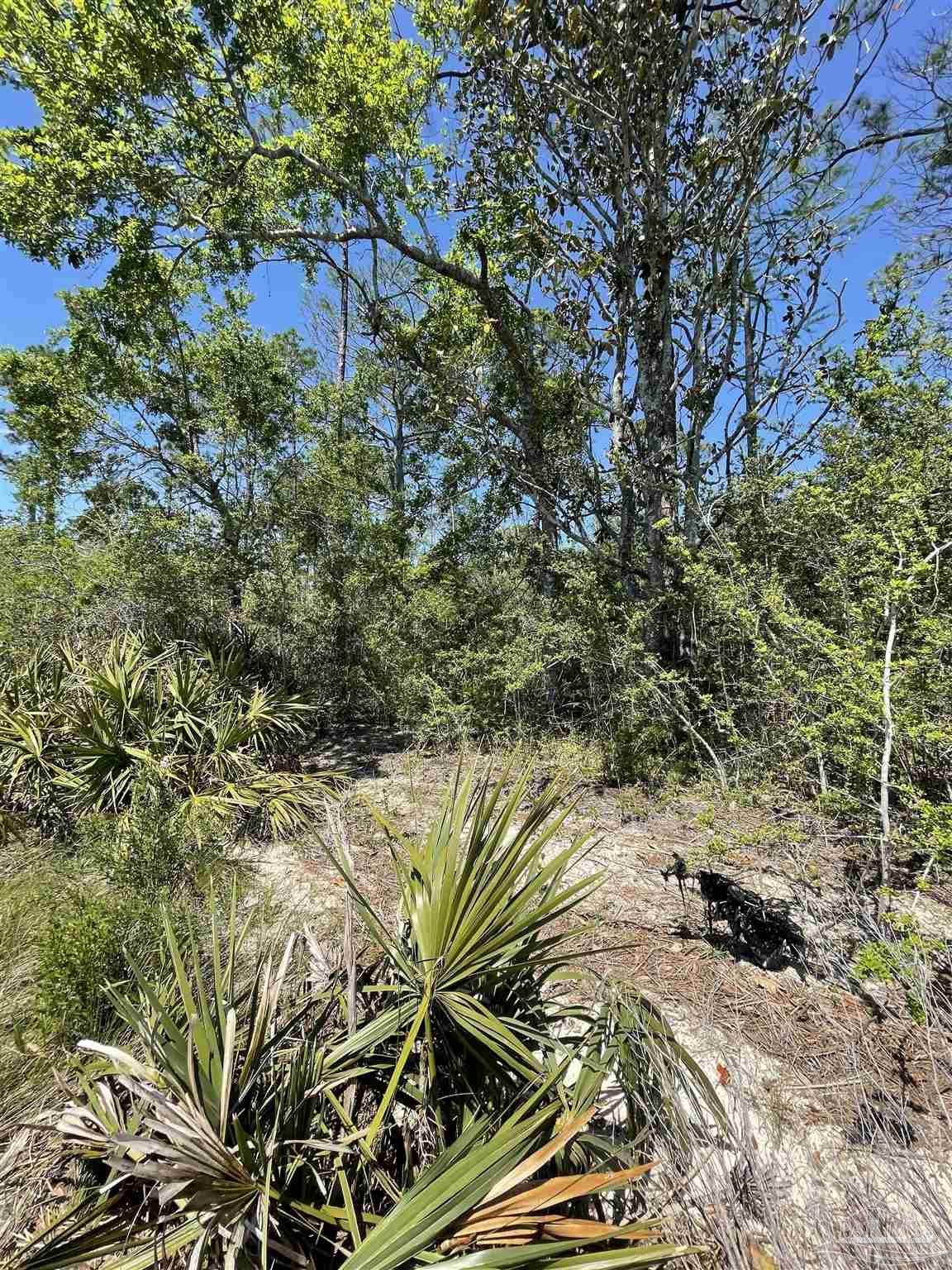 lot 7003 Durwood Ln - Photo 1