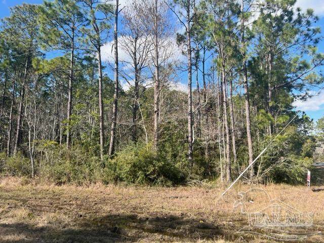 https://bt-photos.global.ssl.fastly.net/pensacola/orig_boomver_2_622240-2.jpg
