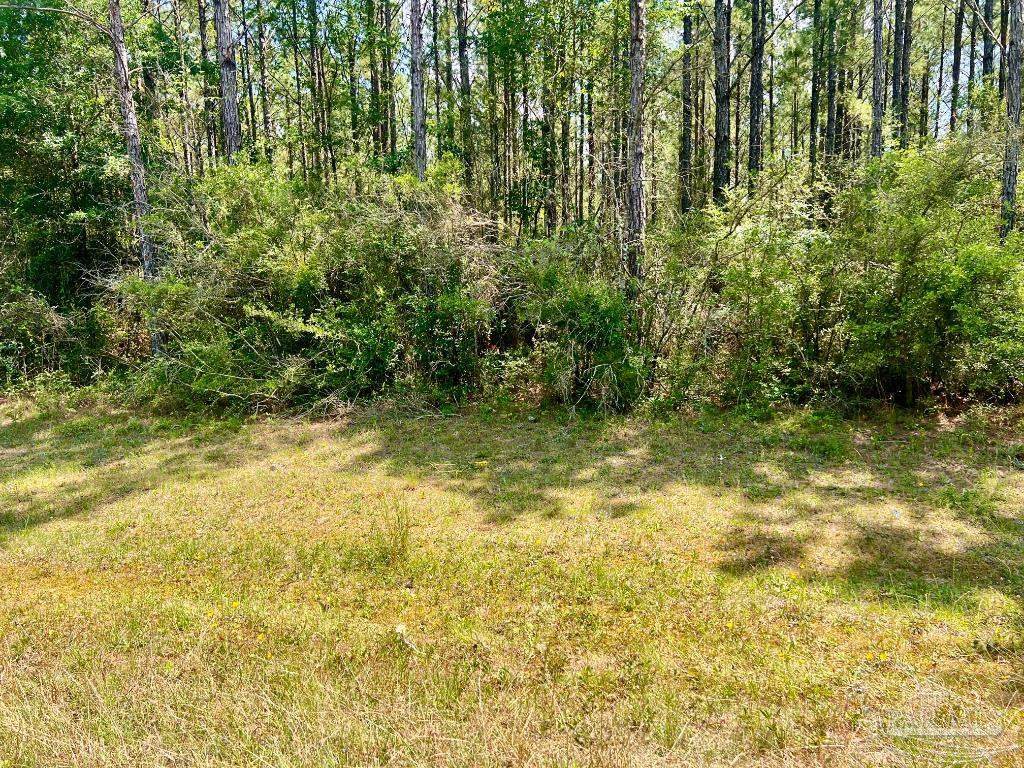 Lot 5-RS Hwy 182 - Photo 1