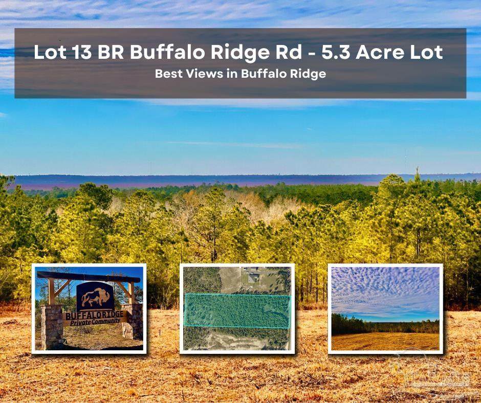 Lot 13 BR Buffalo Ridge Rd - Photo 1