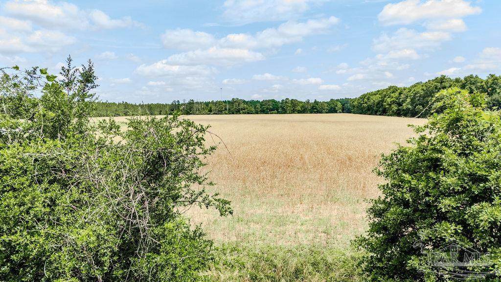 Lot 8 Daybreak Ln - Photo 1