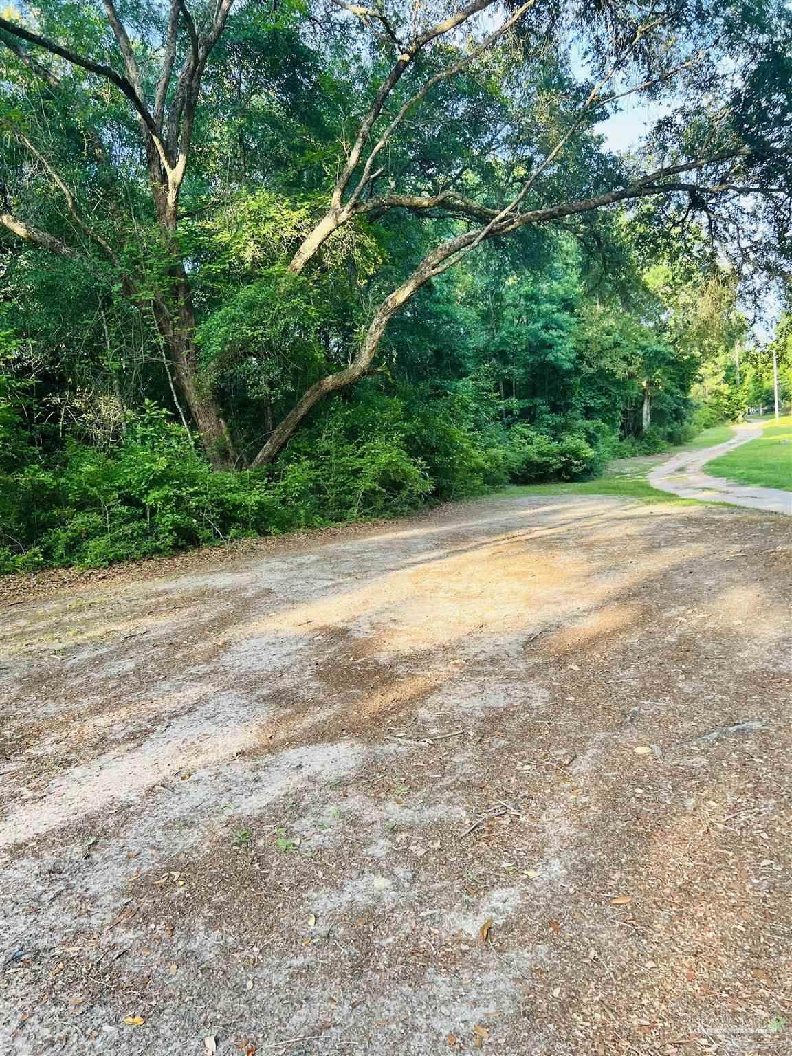 00 Tall Pines Rd - Photo 1