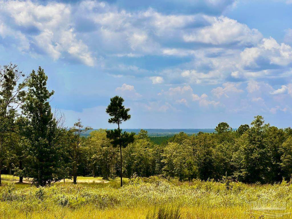 https://bt-photos.global.ssl.fastly.net/pensacola/orig_boomver_1_667352-2.jpg