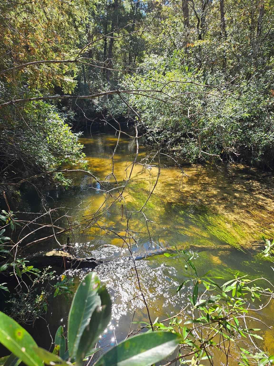 4957 Timothy Twitchell Dr - Photo 1