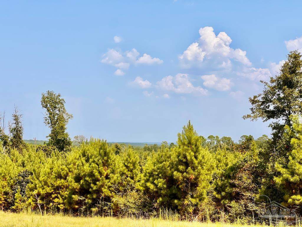 Lot 24 Morgans Branch - Photo 1