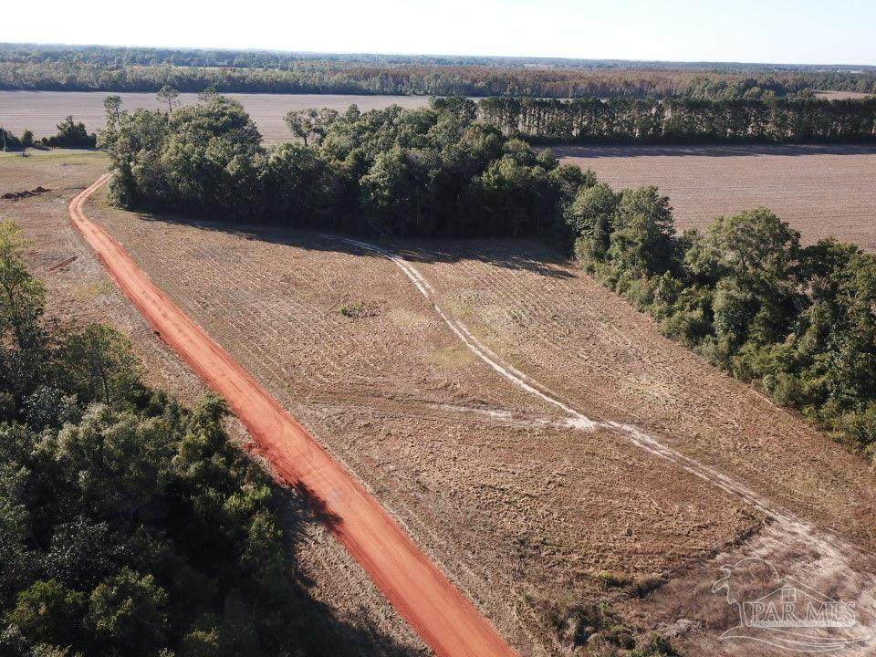 6+/- acres Ard Field Rd - Photo 1
