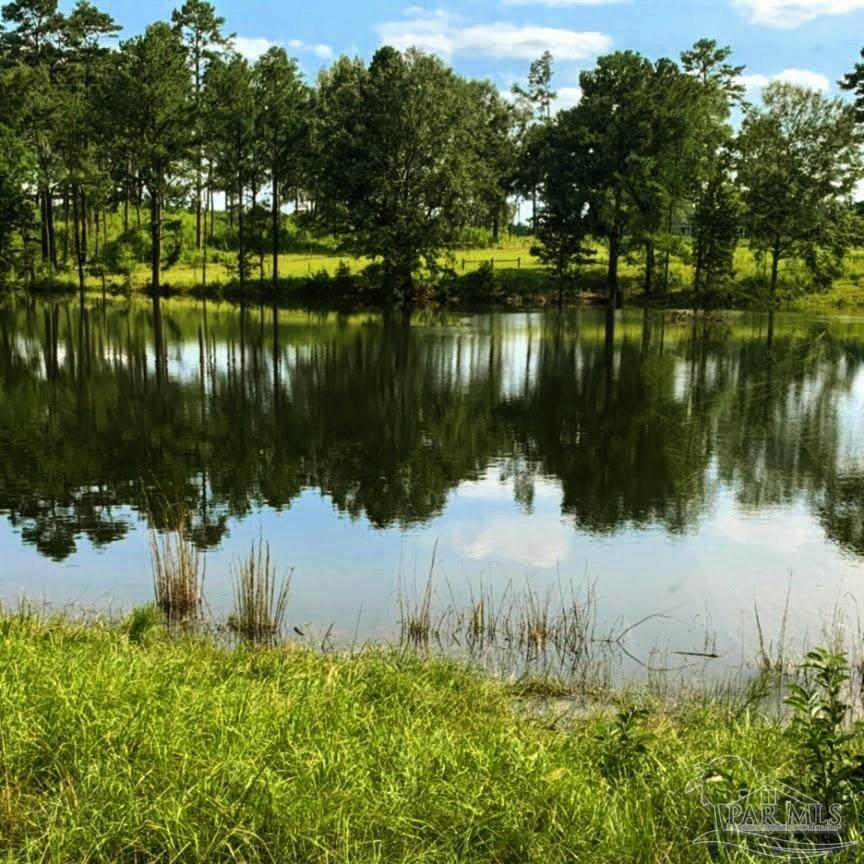 9023 County Rd 34 - Photo 1