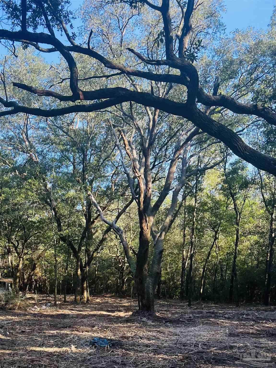 9499 Cornfield Way - Photo 1
