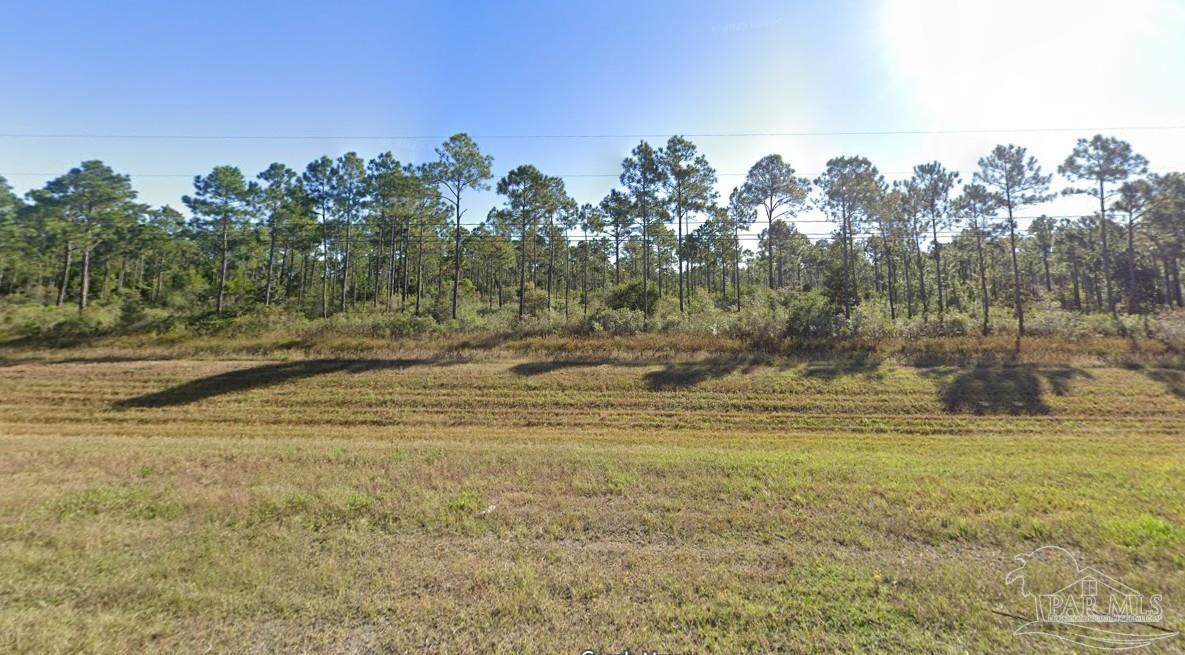 10.95 Acres Avalon Blvd - Photo 1