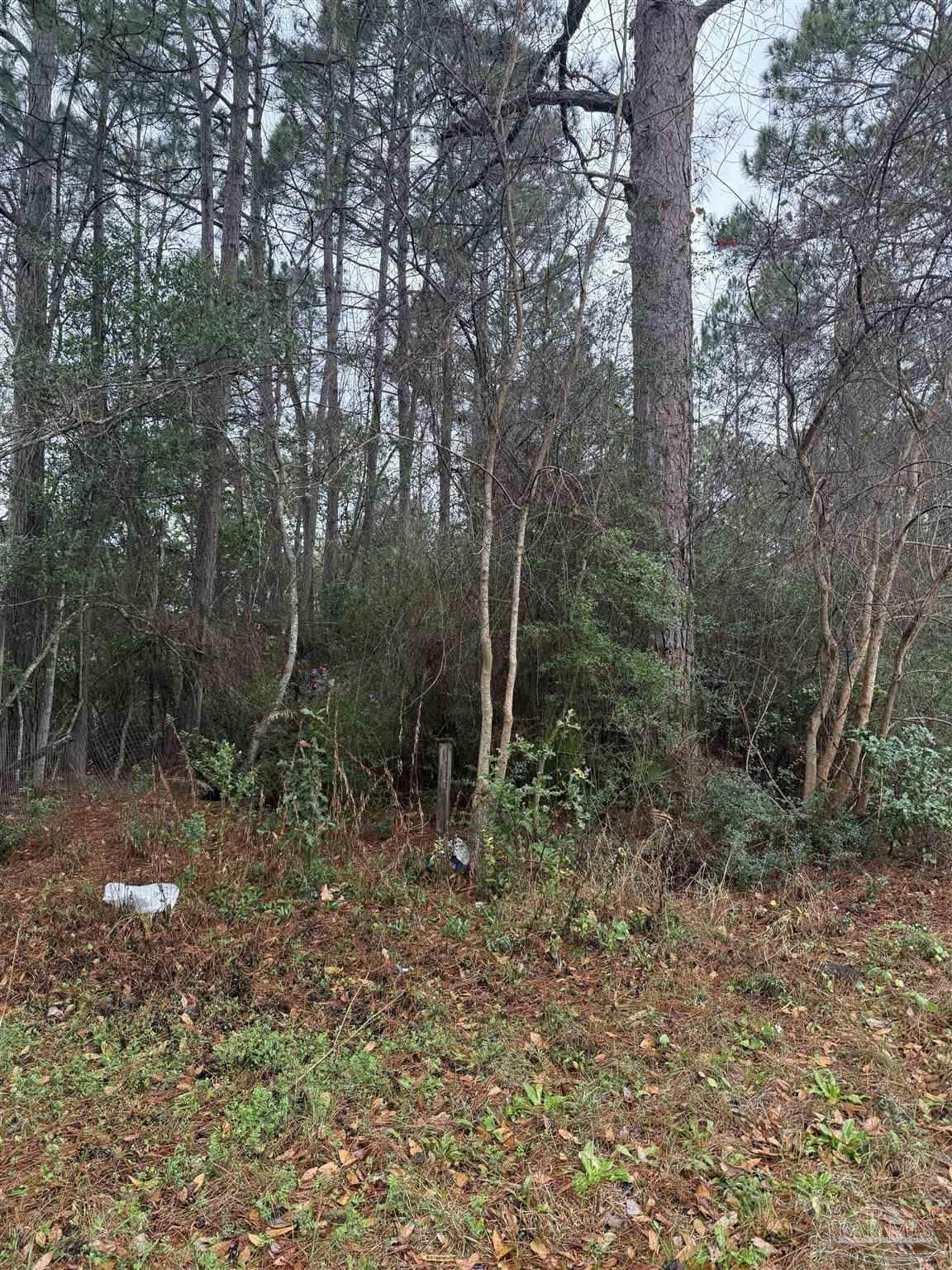 300 BLK Mier Henry Rd - Photo 1