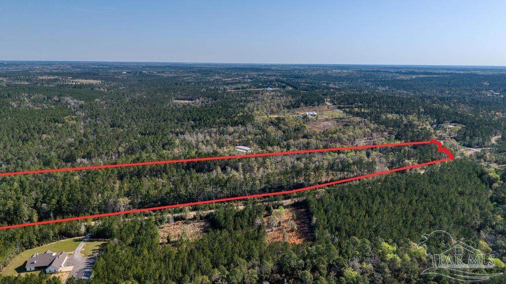 Lot 42 Buffalo Ridge Rd - Photo 1