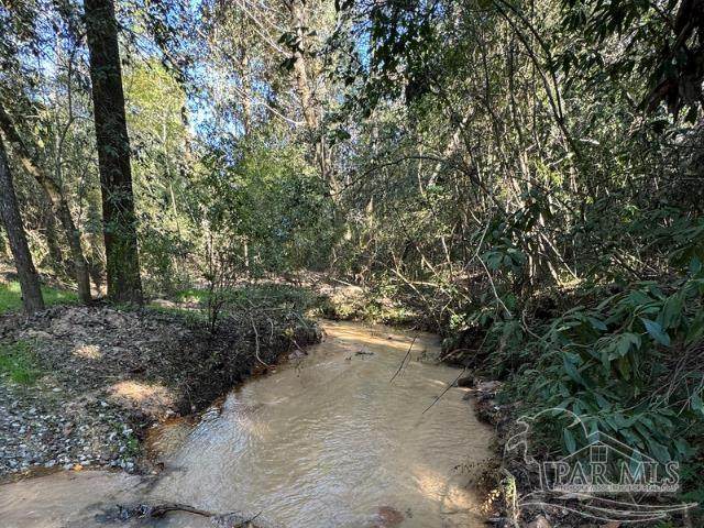 85+/- acres Wiley Scott Rd - Photo 1