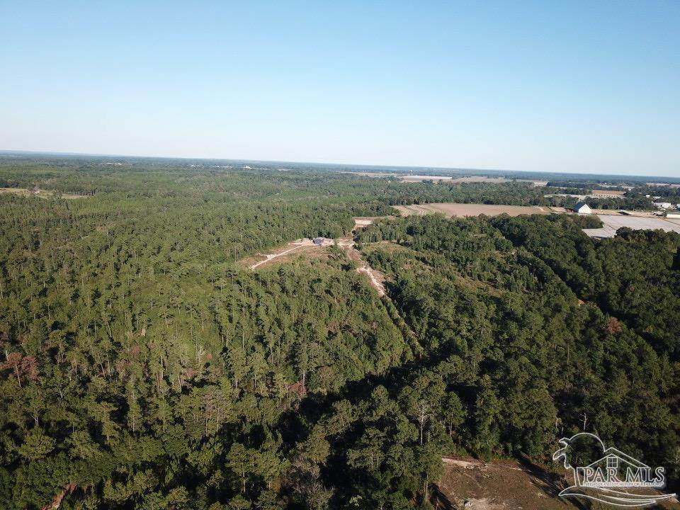 https://bt-photos.global.ssl.fastly.net/pensacola/orig_boomver_2_682079-2.jpg
