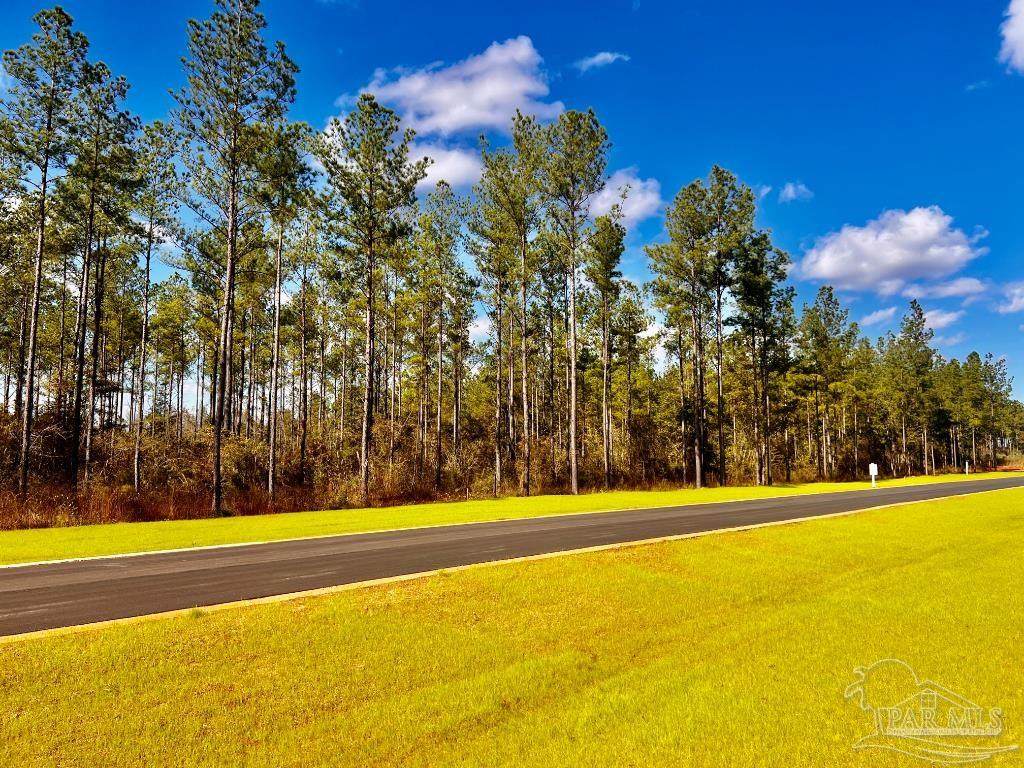 Lot 4 Denali Rd - Photo 1