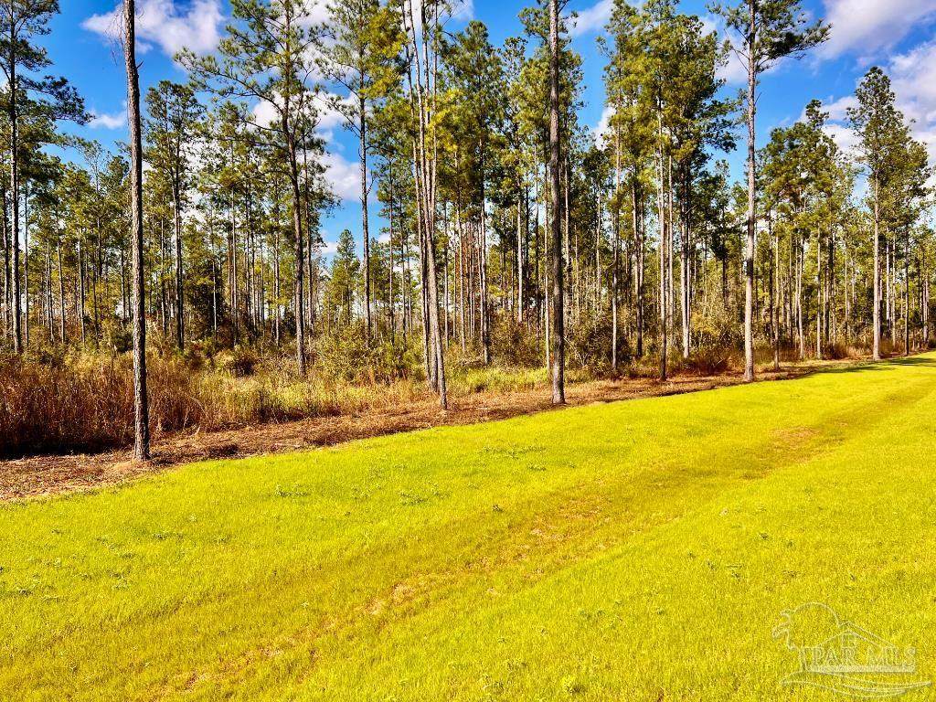 Lot 5 Denali Rd - Photo 1