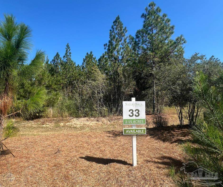 Lot 33 Pine Preserve Ln - Photo 1