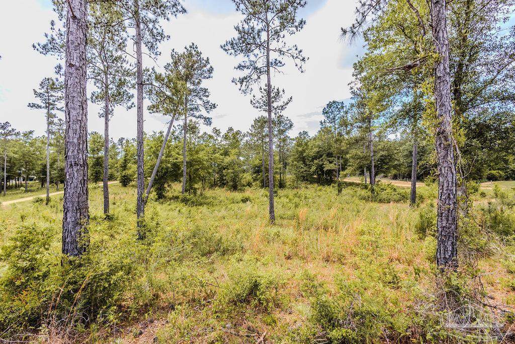 7435 Tidwell Rd - Photo 1