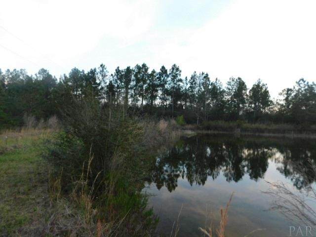 00 Byrom Campbell Rd - Photo 1
