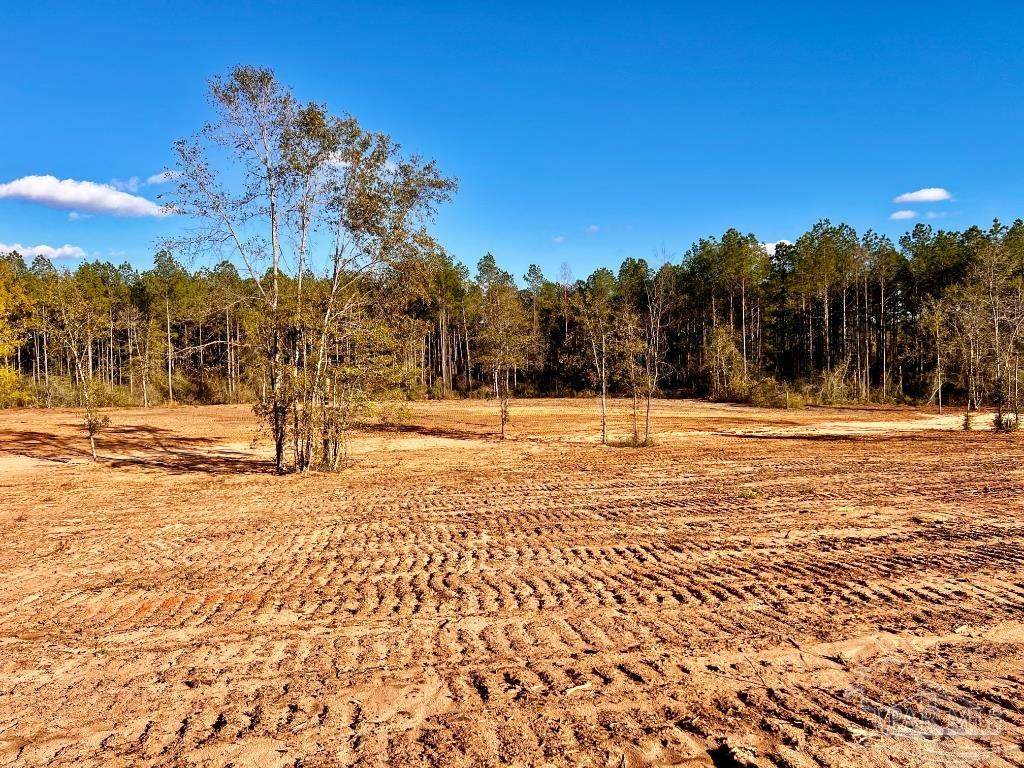 Lot 10 Denali Rd - Photo 1