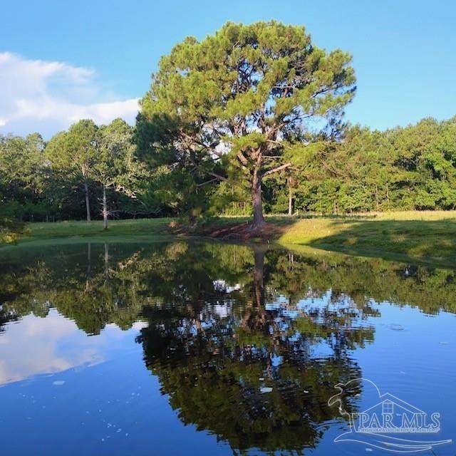 https://bt-photos.global.ssl.fastly.net/pensacola/1280_boomver_3_665944-2.jpg